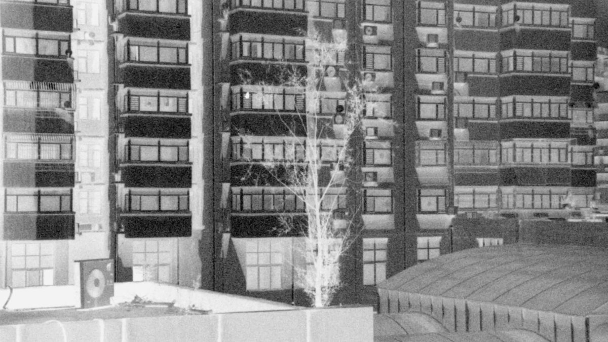 Color itself is a kind of “filter” produced by the human optical system: Conversation with “Branches from Concrete” director Zhou Zhenyu and sound designer Xu&nbsp;Mo